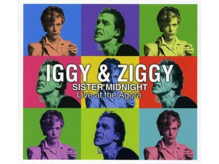 Iggy Pop - Iggy & Ziggy Sister Midnight Live at the Ag