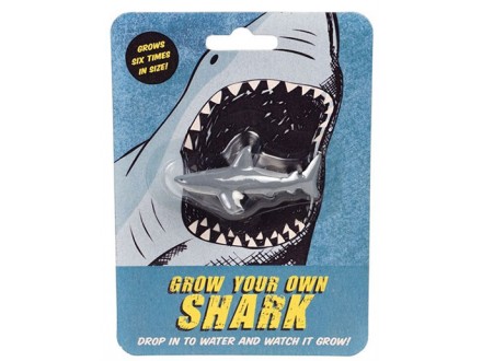 Igračka - Grow Your Own Shark