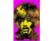 Jimi Hendrix slika 1
