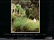 John Fox - John Foxx - The Garden slika 2