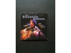 John Oates Band - The Bluesville Sessions RETKO