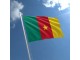 Kamerun (Central African States) `U` 500 Francs 2015 UN slika 2