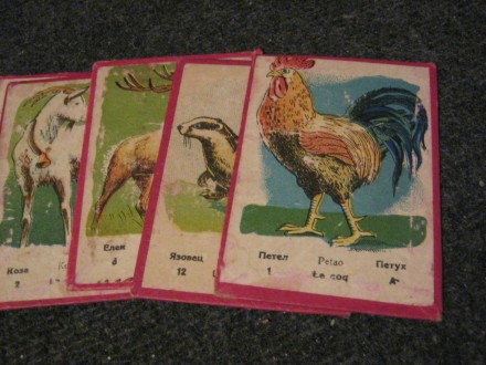 Kartonske kartice, životinje