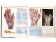 Kolor atlas anatomije čoveka / R. M. H. McMinn slika 3