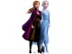 Kostim ANA Frozen 2 slika 1