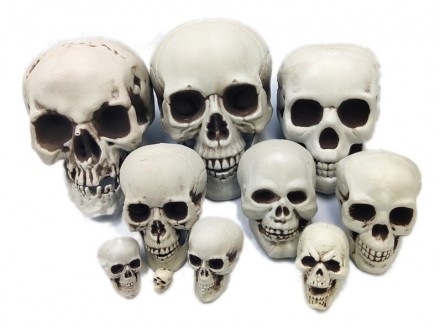 Kostur Glava Skull Za Noc Vestica, Halloween Model 1