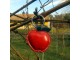 Kožni privesak crvena jabuka slika 1