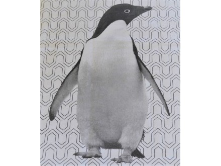 Kuhinjska krpa Penguin 45x70cm