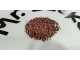 Kukuruz kokičar mini crveni 100 semena slika 1