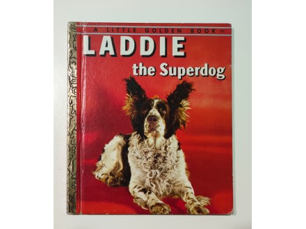LADDIE THE SUPER DOG 1973