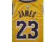 LEBRON JAMES #23 LA LAKERS NBA nov original Nike dres slika 1