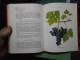 Licul,Premužić-Praktično vinogradarstvo i podrumarstvo slika 3
