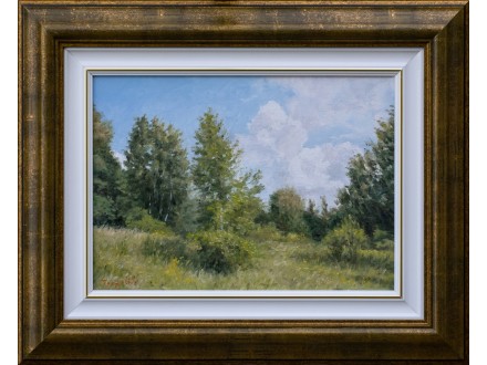 Livada, breza i oblak - ulje na platnu
