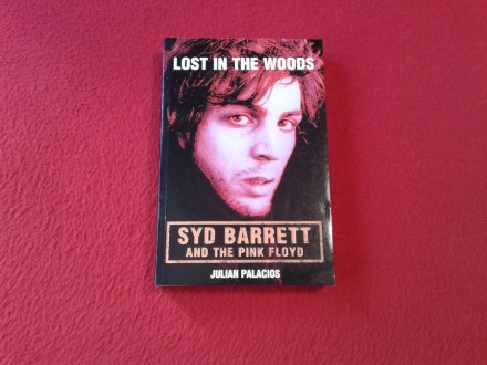 Lost in the Woods - Syd Barrett and the Pink Floyd