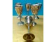 Lux POSREBRENE čaše za žestoka pića sa gravurom slika 1