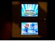 MARIO&;;;;SONIC of the OLYMPIC WINTER GAMES - DS Nintendo slika 3