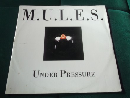 MULES - Under Pressure