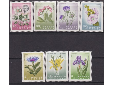 Mađarska 1967 Flora-Pal Kitaibel. cisto