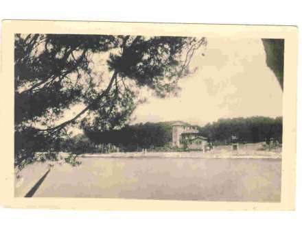 Mali LOsinj,Cigale,cb razglednica,putovala 1952