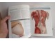 Masaža - anatomija Abby Ellsworth, Peggy Altman slika 2