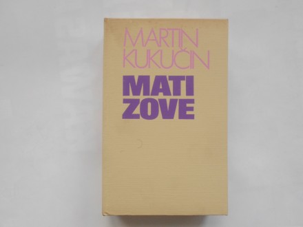 Mati zove, knjiga druga, Martin Kukučin, stvarnost zg