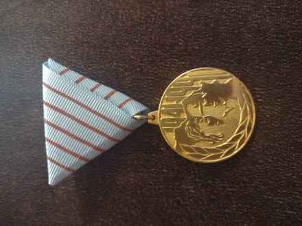 Medalja 50 god JNA
