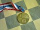Medalja - Omladinsko prvenstvo SFRJ 1989 (sah) slika 1
