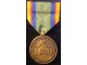Medalja Texas service medal U.S. armed forces slika 1