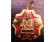 Medalja vatrogasna VSO slika 1