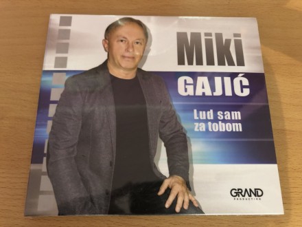 Miki Gajić - Lud Sam Za Tobom