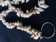 Morske skoljke za izradu nakita i dekorativnih predmeta slika 3