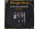 Mungo Jerry ‎– In The Summertime slika 1