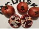 Nar (Punica Granatum,) 100 semena slika 1