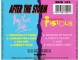 New York Dolls &; The Original Pistols* ‎– After The Sto slika 2