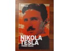 Nikola Tesla Pesnik Nauke - Dejan Stojiljković