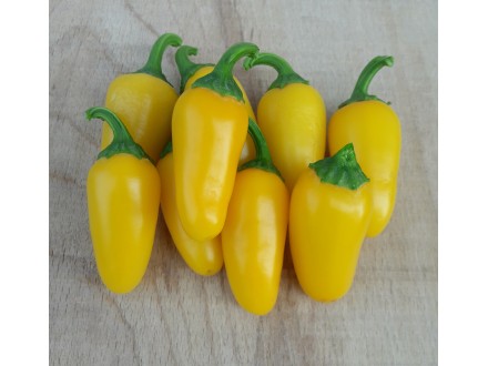 NuMex Lemon Spice - Chili pepper 20 semenki