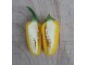 NuMex Lemon Spice - Chili pepper 20 semenki slika 2