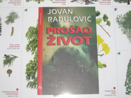 PROŠAO ŽIVOT Jovan Radulović