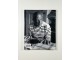 Pablo Pikaso 1881-1973 Genije XX Veka - Ingo F. Valter slika 2