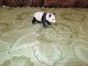 Panda - gumena figurica slika 1