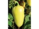 Paprika Somborka (seme) slika 1