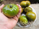 Paradajz Smaragdna jabuka, 0,15g (oko 35 semenki +/-)