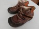Pollino cipelice slika 2