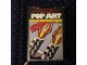Pop Art/Lucy R.Lippard slika 1