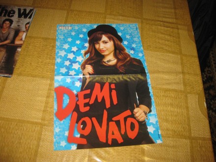 Poster (dvostrani) Demi Lovato, Linkin Park