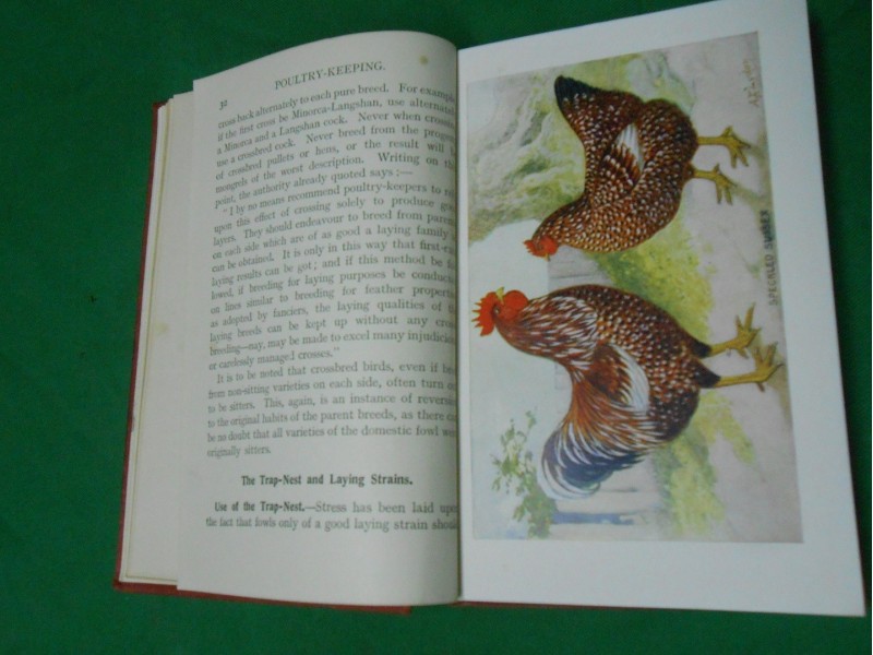 Poultry Keeping (Čuvanje peradi)The hobby books