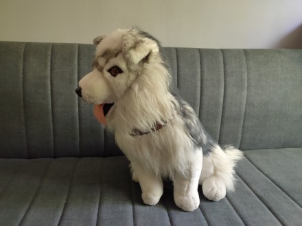 Prelep plisani pas sa ogrlicom,kao pravi,visina 56cm.