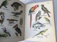 Prirodopisni atlas: Ptice - Dragutin T..Simonović slika 2
