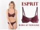 Push-up bra with lace 80B ESPRIT NOVO slika 1