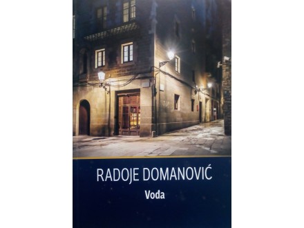 Radoje Domanović - Vođa